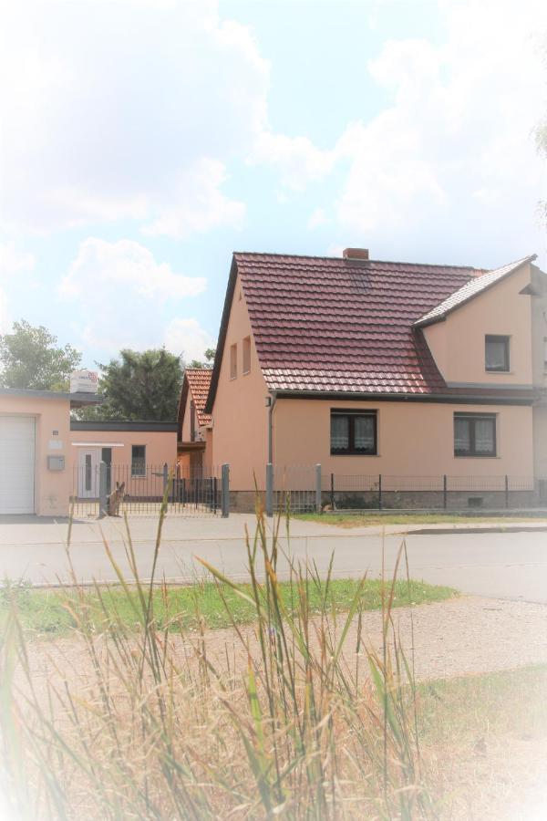 Landhaus "Zum Frosch" Kalbsrieth Экстерьер фото